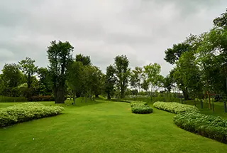 Green Spaces